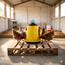 Tavuk Yemliği 20 Kg | Yüksek Kapasiteli Otomatik Yemlik