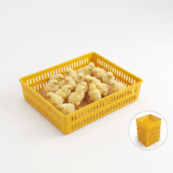 Kapaksız Civciv Taşıma Sepeti 41x34 cm – Plastik Civciv Taşıma ve Sevkiyat Sepeti