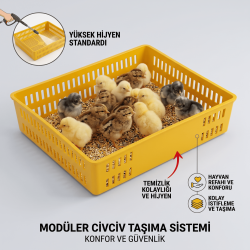 Kapaksız Civciv Taşıma Sepeti 41x34 cm – Plastik Civciv Taşıma ve Sevkiyat Sepeti