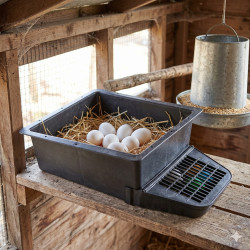 Yumurta Folluğu | Geniş ve Dayanıklı Tavuk Folluğu