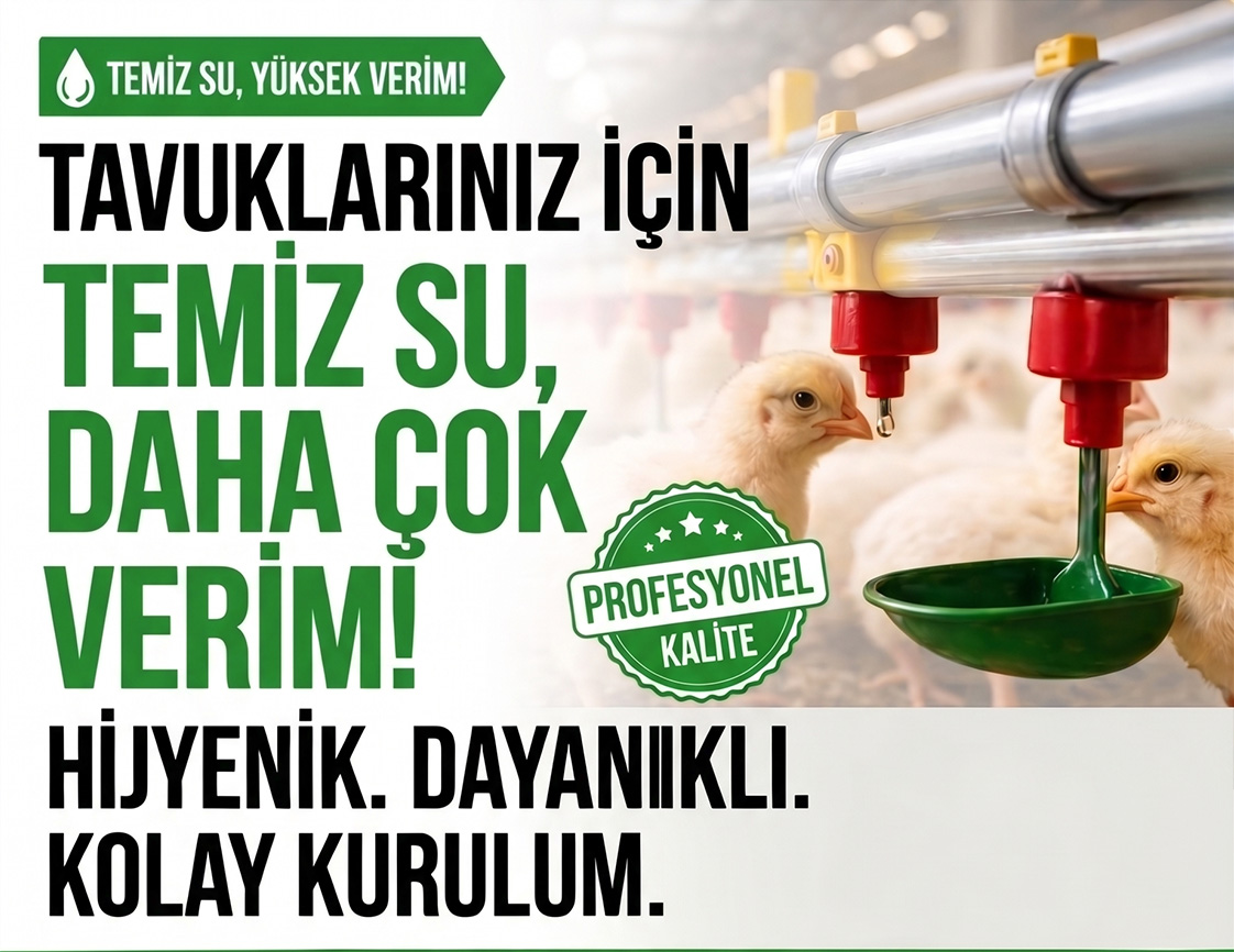 Tavuklarınız için temiz su